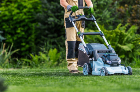 London, Business, Transform Your Garden With A Professional Gardening Company