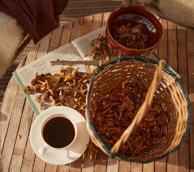 New York, Food, USD 25,  Spark Mushroom Coffee &ndash; Calm Energy & Clear Focus