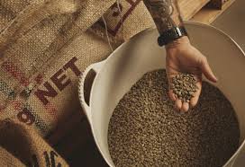 Calgary, Business, Wholesale Coffee In Peterborough: Premium Beans For Caf&eacute;s And Roasters