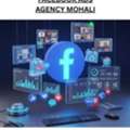 Facebook Ads Agency Mohali &ndash; Reach The Right Audience & Grow Your Business