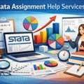 Stata Assignment Help Services &ndash; Expert Statistical Analysis Support