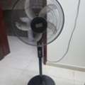 SAR 75,  Stand Fan Black & Decker