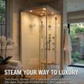 Platinum DZ961F8‑Left 59" Walk‑In Steam Shower – White Turn Your Bathroom Into A Luxury S