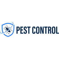 Chicago, Pest Control, Pest Control Aurora