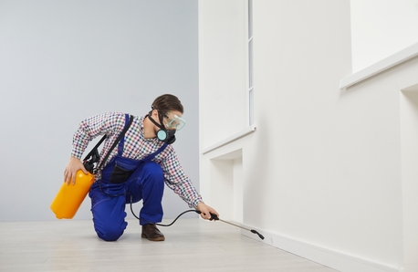 Chicago, Pest Control, Pest Control Aurora