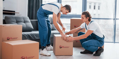 Auckland, Labor/Moving, Trusted Packing And Moving Companies | Expert Movers