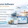Smart Customs Software Solution For Freight Forwarders