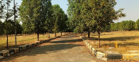 Hyderabad, Residential Plots, INR 35000,  245 Sq. Yard,  HMDA Residential Plots Sale In Tukkuguda Near Adhibatla TCS Wonderla ORR14