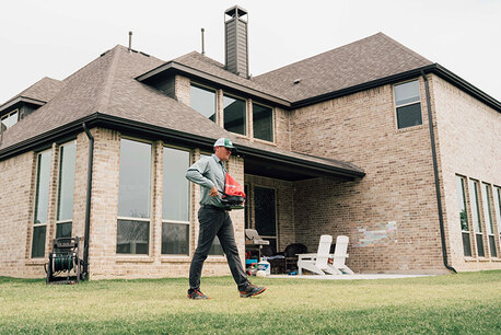 New York, Pest Control, Pest Control In Carrollton, TX