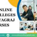 Top Online MBA Colleges In Prayagraj Courses