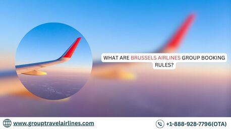 New York, Travel, What Are Brussels Airlines Group Booking Rules?