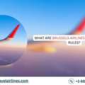 What Are Brussels Airlines Group Booking Rules?