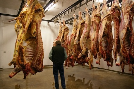 Houston, Food, USD 99,  Save More With Premium Meat In Bulk From Blessings Ranch