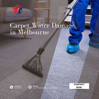 Melbourne, Business, Carpet Water Damage In Melbourne &ndash; Fast Carpet Drying Services