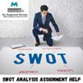 SWOT Analysis Assignment Help &ndash; Expert Academic Support For Students