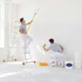 Dependable House Painters In Hobart For Homes