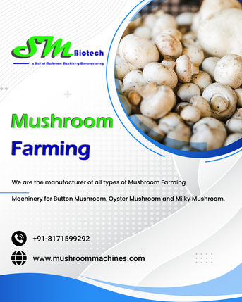 Lucknow, Business, Start Profitable Mushroom Farming With Modern Machines