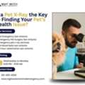 Is A Pet X-Ray The Key To Finding Your Pet&rsquo;s Health Issue?
