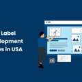 Top White Label Web Development Company In The USA