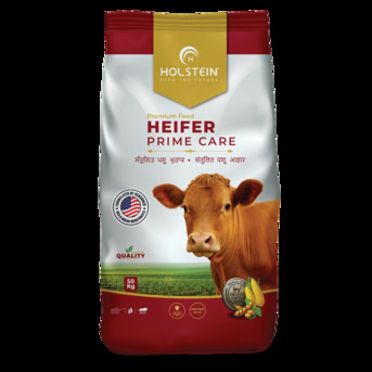 Punjab, Food, INR 1859,  Holstein - Heifer Cow Feed Prime Care 50kg, Supplement For Cow Dairy Heifers