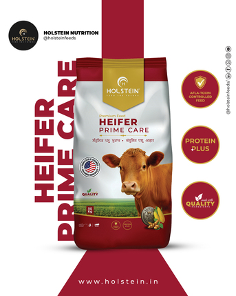 Punjab, Food, INR 1859,  Holstein - Heifer Cow Feed Prime Care 50kg, Supplement For Cow Dairy Heifers