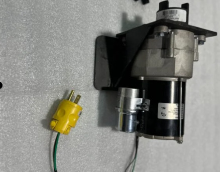 New York, Business, Rotisserie Hog Roaster