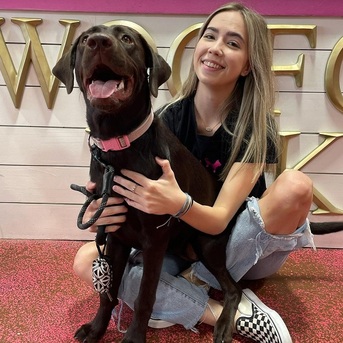 New York, Pet Sitting, Gentle Care For Poodle