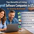 Top Benefits Of Using Payroll Software Companies In USA For Growing Businesses