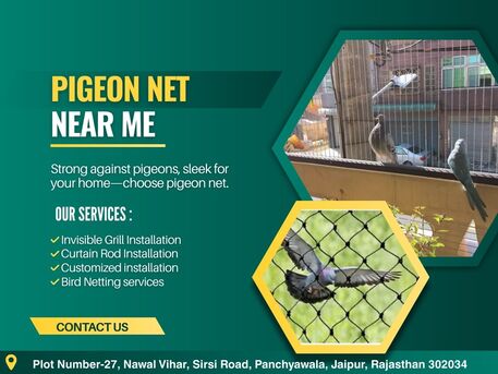 Jaipur, Business, Pigeon Net Near Me For Balcony Safety And Bird Control