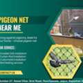 Pigeon Net Near Me For Balcony Safety And Bird Control