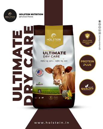 Punjab, Food, INR 1755,  Holstein - Ultimate Dry Care Cow Feed 50kg,Feed Pellets For Post-Calving Health & Immunity