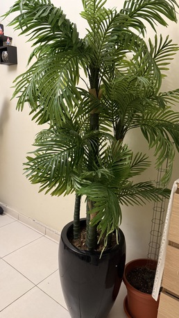 Al Malaz, Furniture, SAR 50,  Home Decor Items, Plastic Planters, Used Toys Bundles