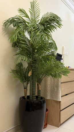 Al Malaz, Furniture, SAR 50,  Home Decor Items, Plastic Planters, Used Toys Bundles