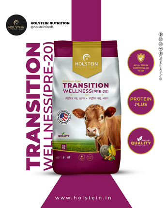 Punjab, Food, Holstein - Transition Wellness (Pre 20) Cow Feed 50kg, Feed For Cows