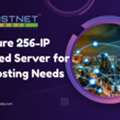 Usd 350,  Secure 256-IP Dedicated Server For SEO Hosting Needs