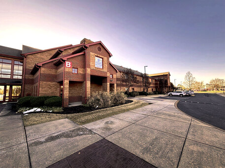 New York, Pet Sitting, Discover The Ultimate World Of Wings Near Me At World Wing Fest