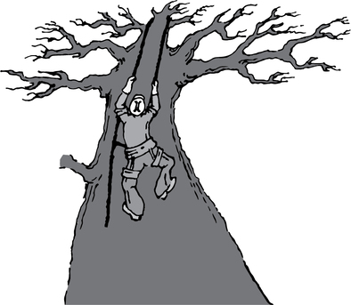 New York, Real Estate, Professional Tree Removal Salt Lake UT &ndash; Safe & Reliable Services