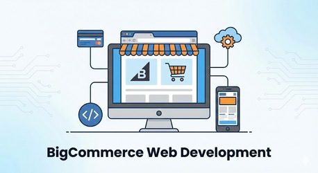 New York, Web Design & Development, Web Development Company In Illinois Building Websites That Work