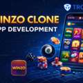 Start A Skill Gaming Business With A WinZO Clone App