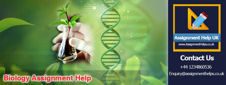 London, Education, How Can Biology Assignment Help Improve Your Grades?