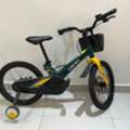 SAR 100,  Kid Bicycle