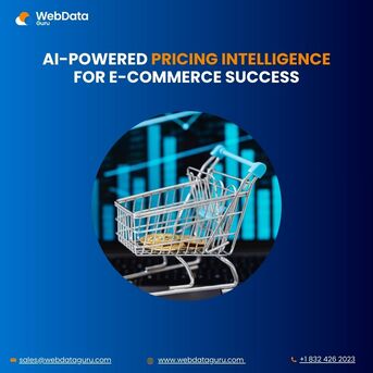 Houston, Computer, AI-Powered Pricing Intelligence For E-commerce Success