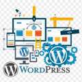 NYC WordPress Development Services Building Flexible Websites For Growing Brands