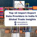 Top 10 Import Export Data Providers In India For Global Trade Insights