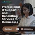 Professional IT Support And Consulting Services For Businesses