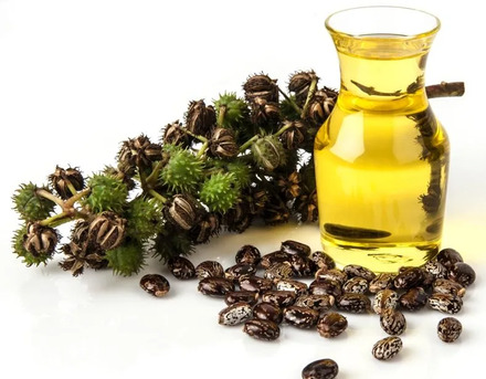 Mumbai, Wholesale Products, Leading Castor Oil Derivative Manufacturer In India