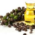 Leading Castor Oil Derivative Manufacturer In India
