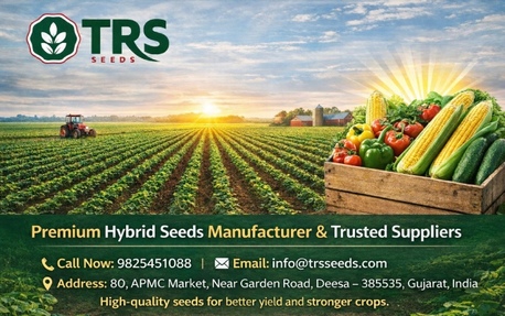Ahmedabad, Food, Best Hybrid Seeds Company In India For High Yield Agricultural Seeds