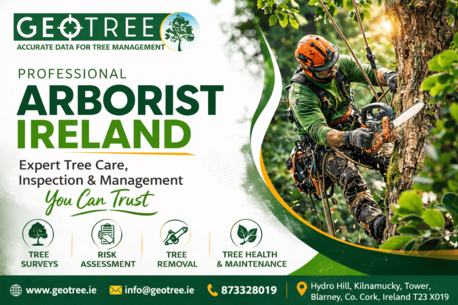 Dublin, Farm/Garden, Professional Irish Forestry Services & Tree Identification Experts
