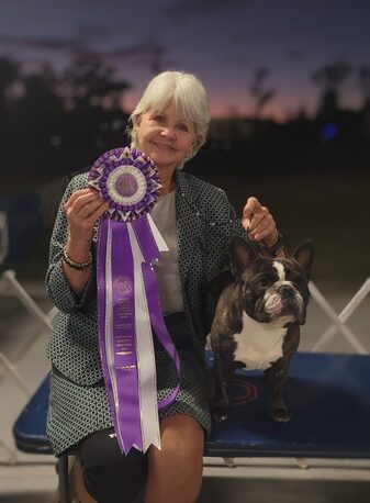 London, Training, Professional Dog Handling & Conformation Training | AKC Pro